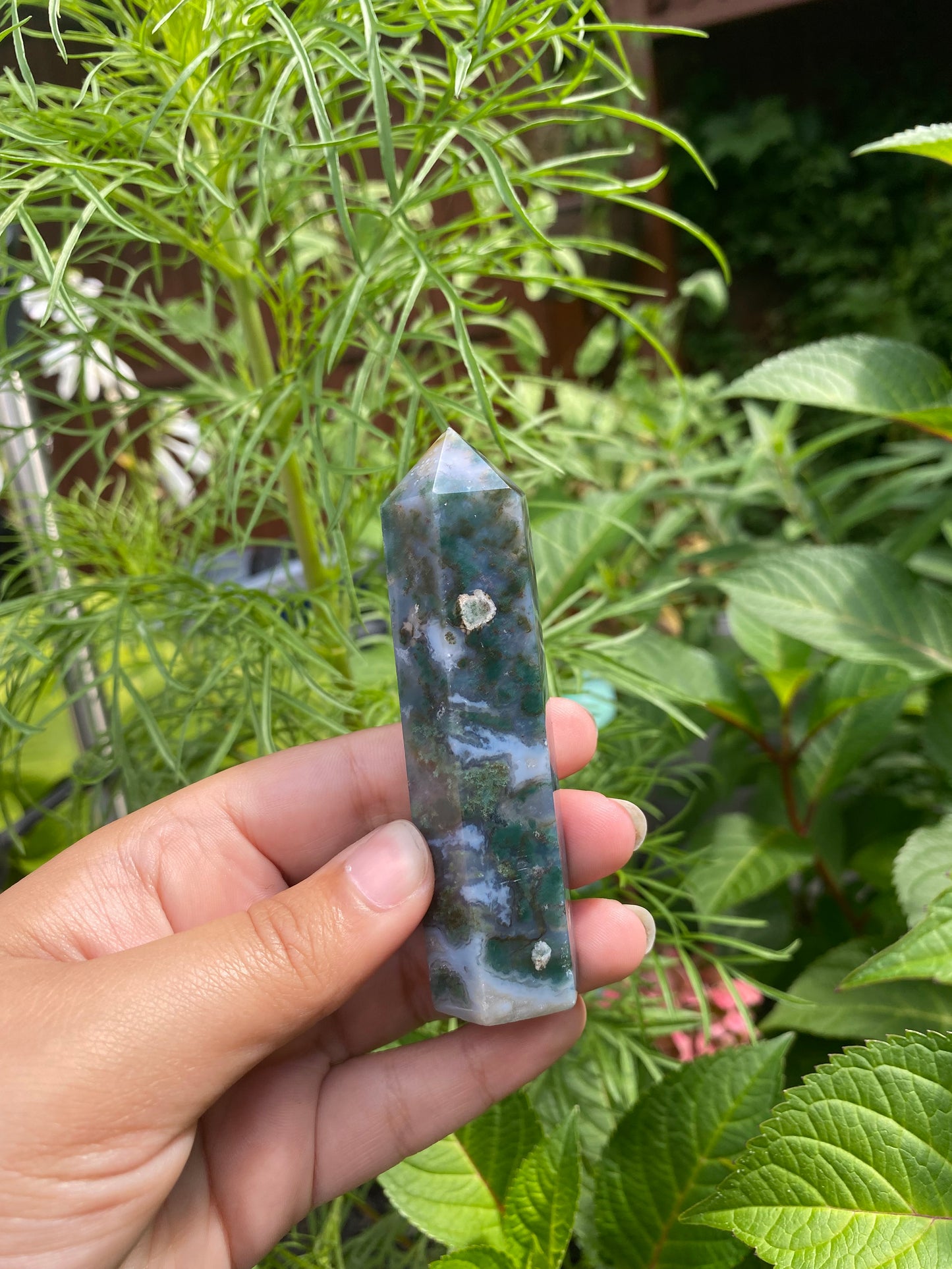 Moss Agate Points