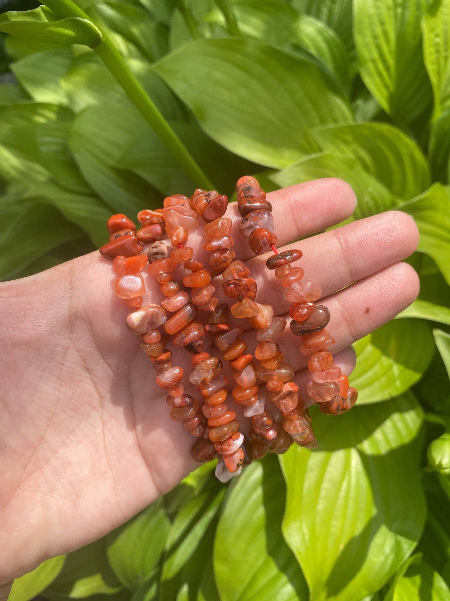 Carnelian and Red Agate Chip Bracelet
